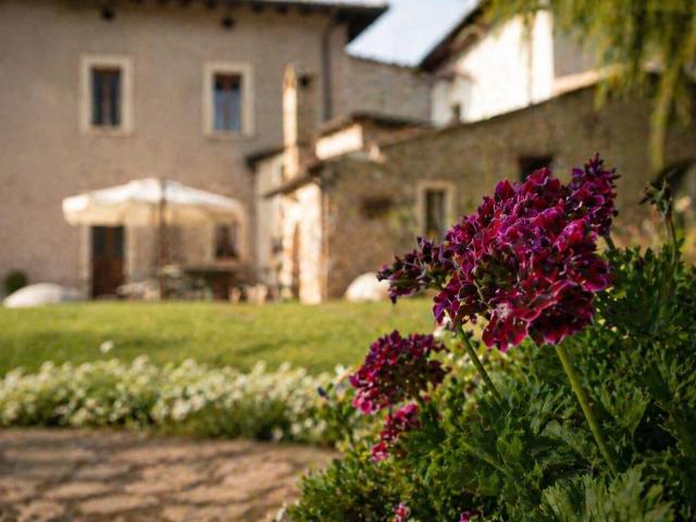 Attività / Licenza in vendita a L'Aquila AQ
