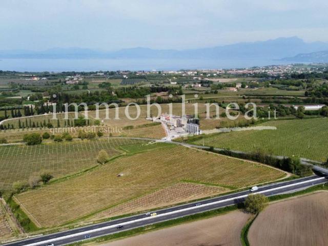 Attività / Licenza in vendita a Lazise VR