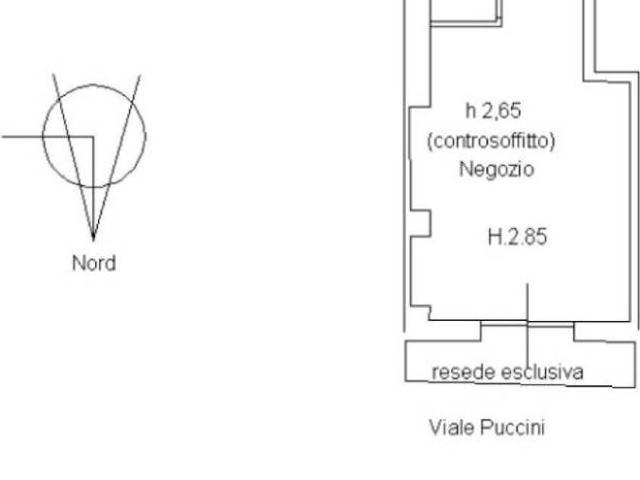 Attività / Licenza in vendita a Lucca LU