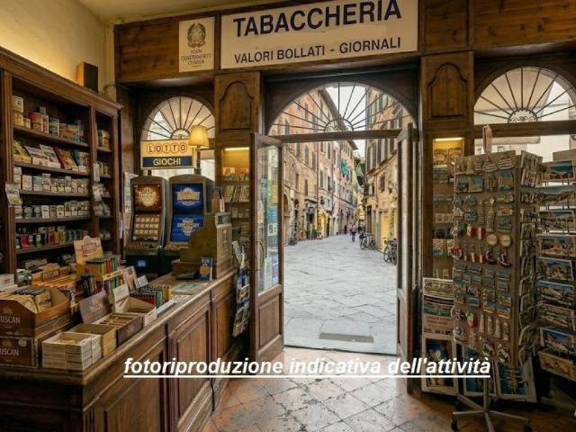 Attività / Licenza in vendita a Lucca LU