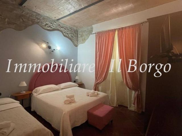 Attività / Licenza in vendita a Manciano GR