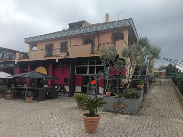 Attività / Licenza in vendita a Marino RM