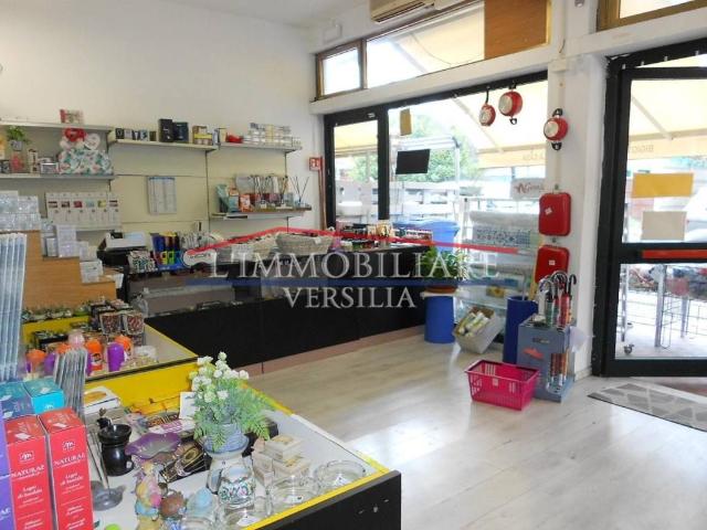 Attività / Licenza in vendita a Massa MS