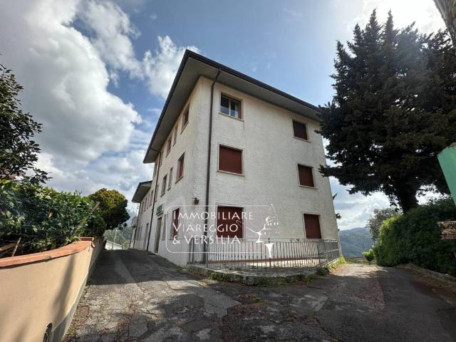 Attività / Licenza in vendita a Massarosa LU