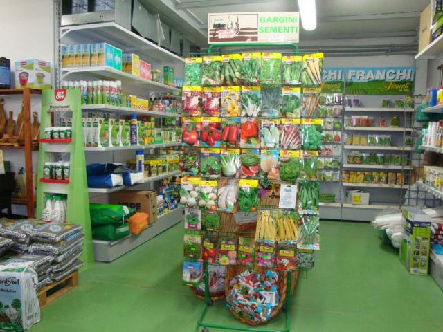 Attività / Licenza in vendita a Massarosa LU