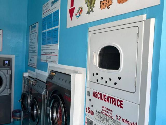 Attività / Licenza in vendita a Meda MB