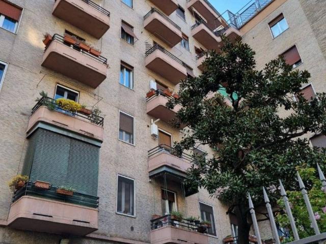 Attività / Licenza in vendita a Milano MI