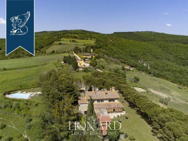 Attività / Licenza in vendita a Monte Santa Maria Tiberina PG