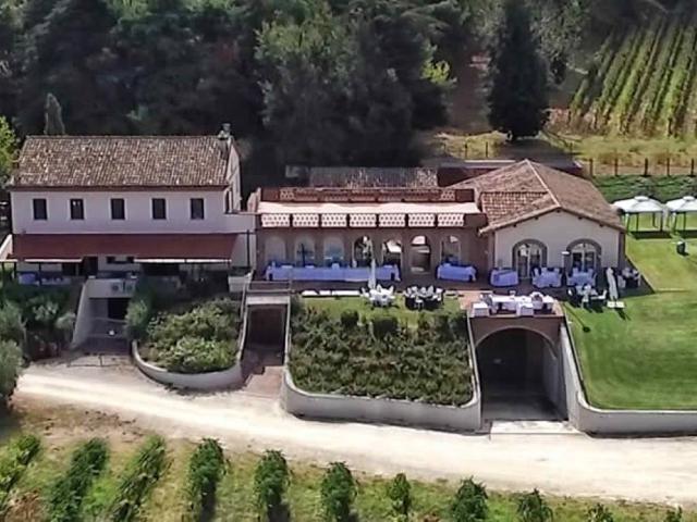 Attività / Licenza in vendita a Montecarotto AN