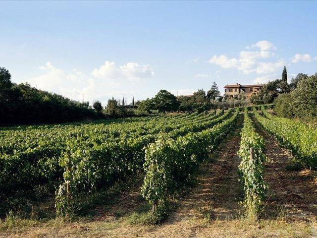 Attività / Licenza in vendita a Montepulciano SI