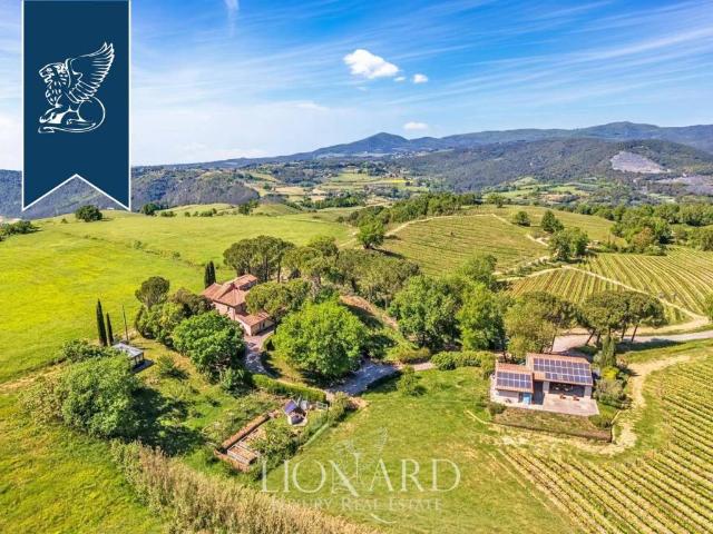 Attività / Licenza in vendita a Montescudaio PI