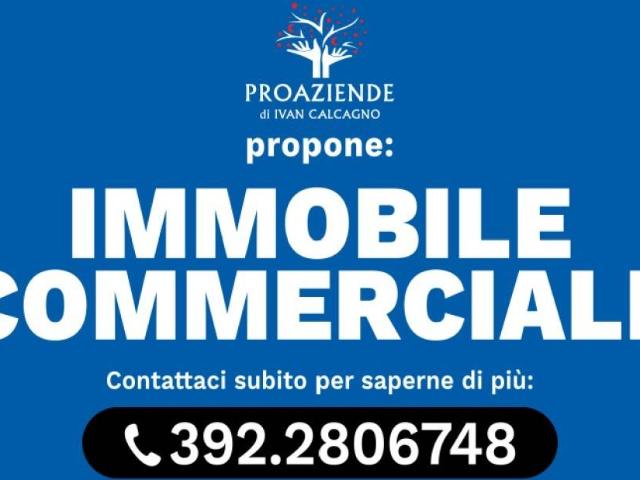 Attività / Licenza in vendita a Monticelli d'Ongina PC