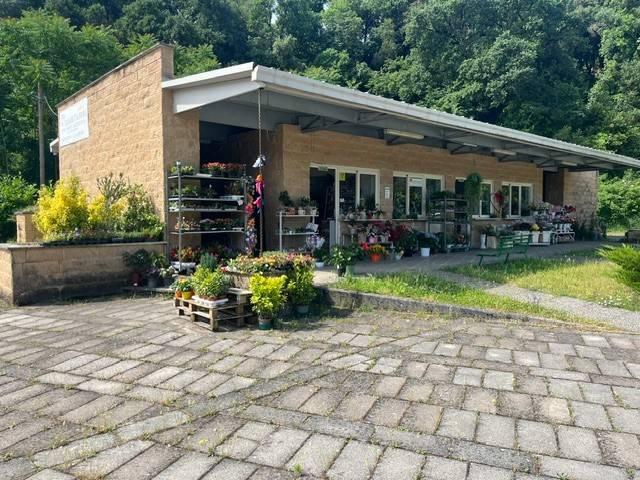 Attività / Licenza in vendita a Narni TR