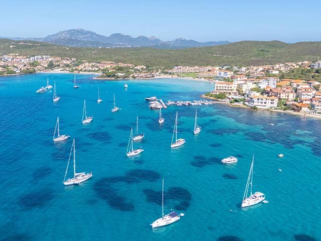 Attività / Licenza in vendita a Olbia SS