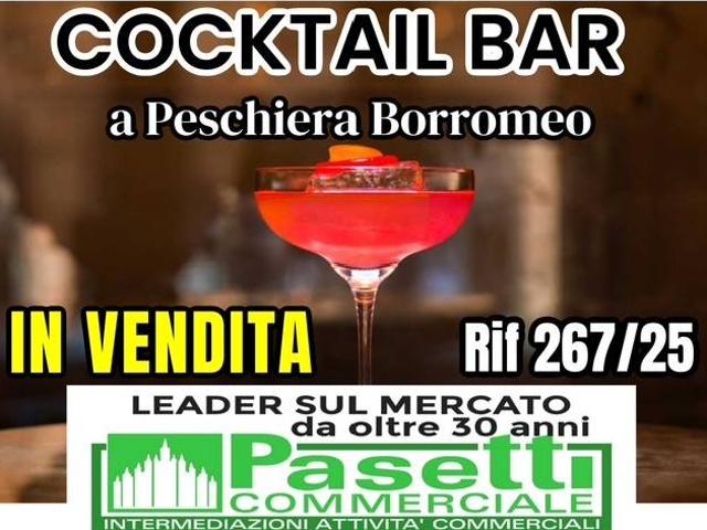 Attività / Licenza in vendita a Peschiera Borromeo MI
