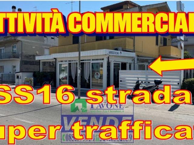 Attività / Licenza in vendita a Pineto TE
