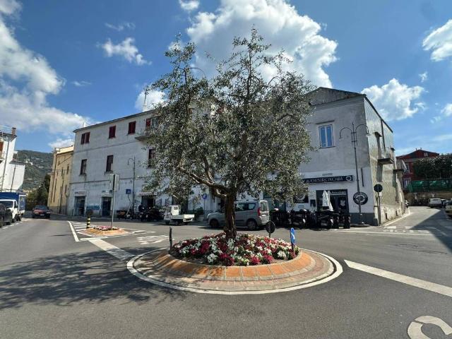 Attività / Licenza in vendita a Piano di Sorrento NA