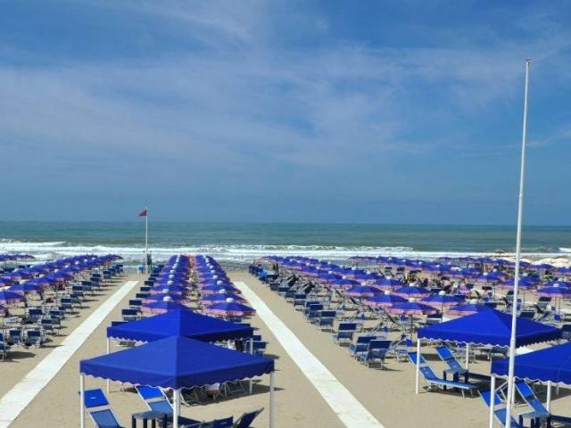 Attività / Licenza in vendita a Pietrasanta LU