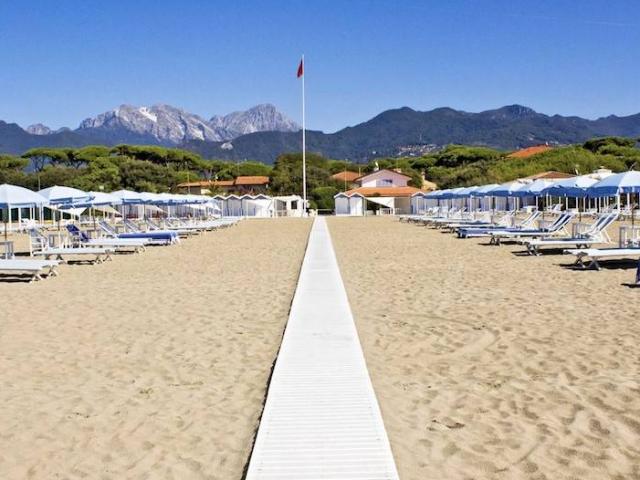Attività / Licenza in vendita a Pietrasanta LU