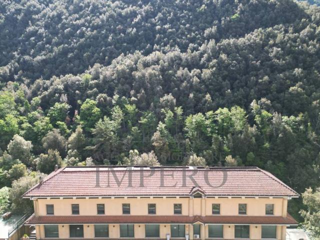 Attività / Licenza in vendita a Pigna IM