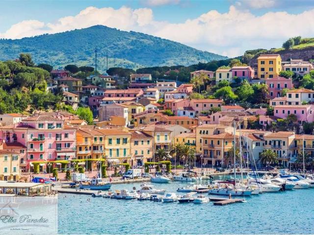 Attività / Licenza in vendita a Porto Azzurro LI