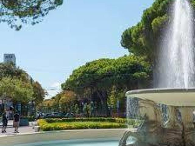 Attività / Licenza in vendita a Rimini RN