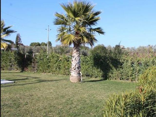 Attività / Licenza in vendita a Rimini RN