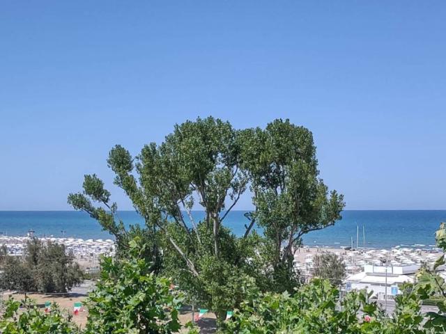 Attività / Licenza in vendita a Rimini RN