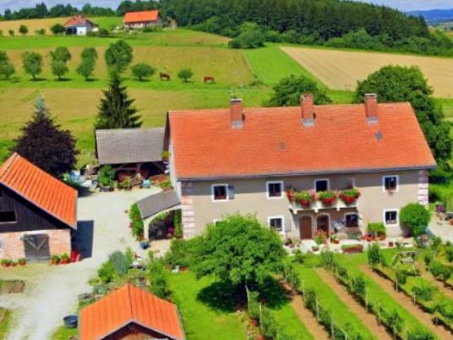 Attività / Licenza in vendita a Rivignano Teor UD