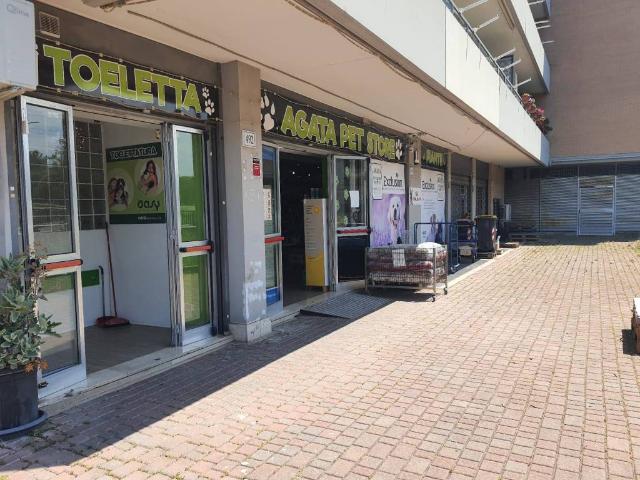 Attività / Licenza in vendita a Roma RM