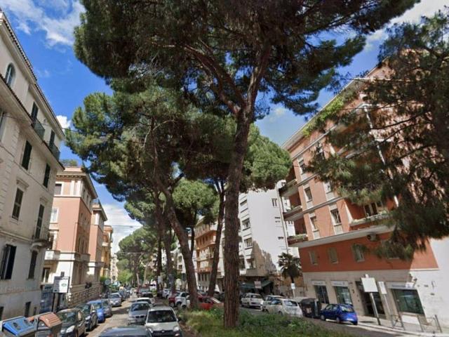Attività / Licenza in vendita a Roma RM