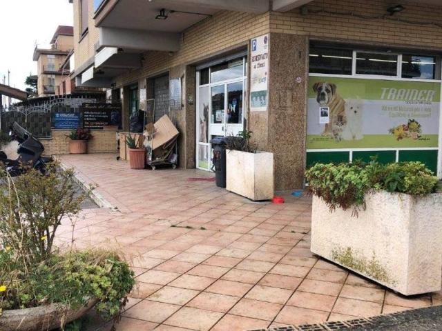 Attività / Licenza in vendita a Roma RM