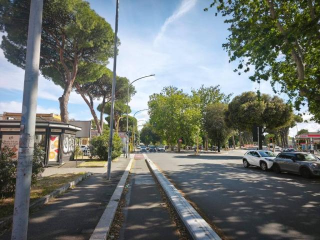 Attività / Licenza in vendita a Roma RM