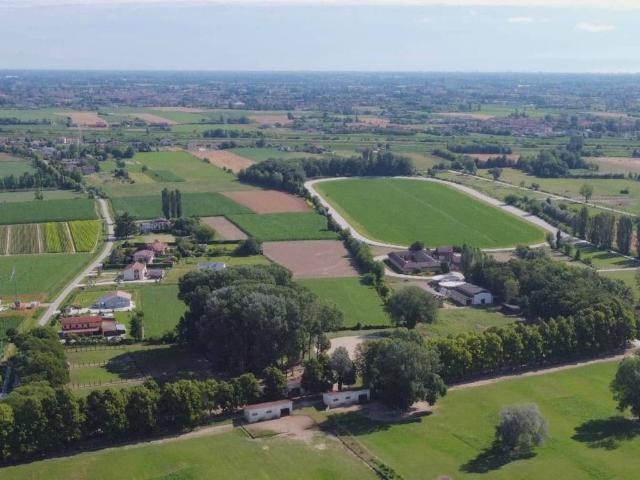 Attività / Licenza in vendita a Sant'Angelo di Piove di Sacco PD