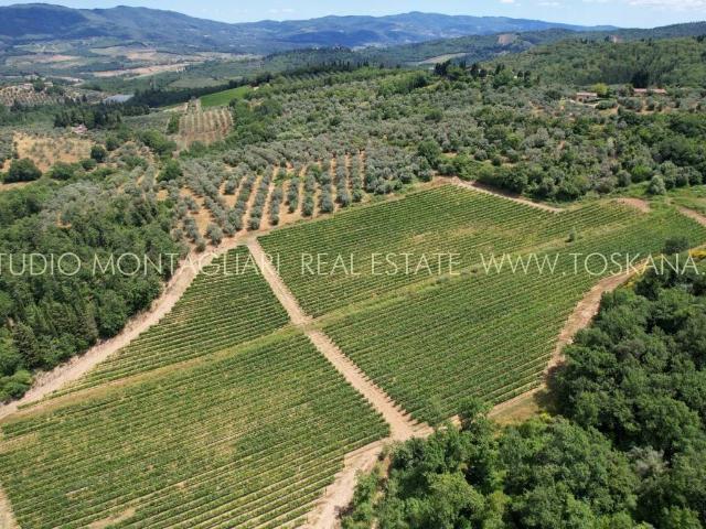 Attività / Licenza in vendita a San Casciano in Val di Pesa FI