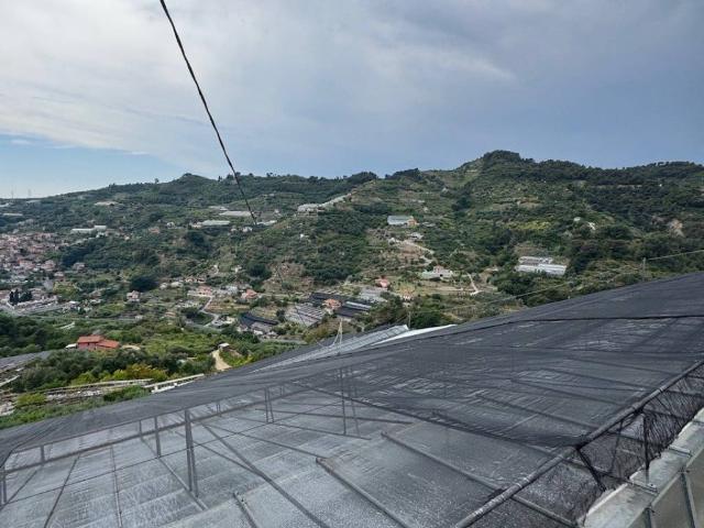 Attività / Licenza in vendita a San Biagio della Cima IM