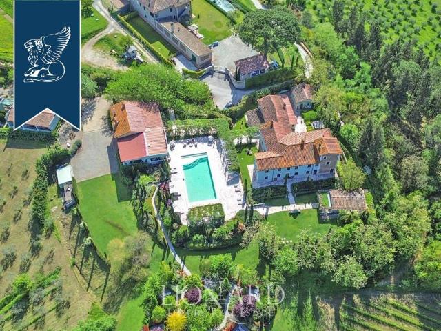 Attività / Licenza in vendita a San Miniato PI
