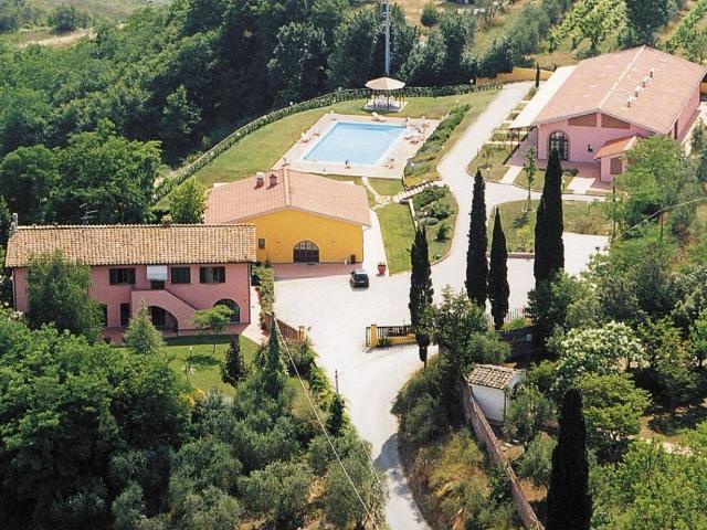 Attività / Licenza in vendita a San Miniato PI
