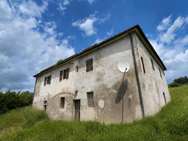 Attività / Licenza in vendita a San Miniato PI