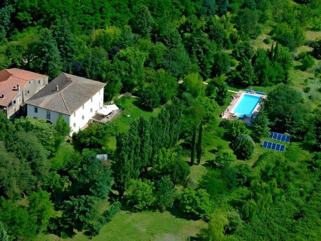 Attività / Licenza in vendita a San Miniato PI