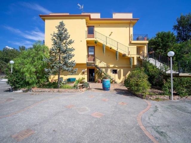 Attività / Licenza in vendita a San Nicola Arcella CS