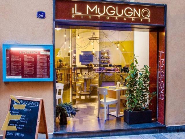 Attività / Licenza in vendita a Spotorno SV
