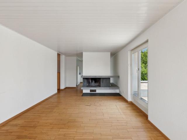 Attractive attic apartment with large roof terrace