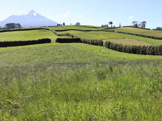 ATTRACTIVE PEMBROKE ROAD GRAZING PROPERTY – First National Rea.