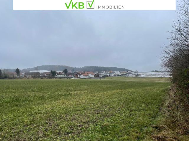 Attraktive Bauparzelle in guter Lage nähe Gallneukirchen! Gemeinde Alberndorf in der Riedmark GST 2438/2, 2437/3