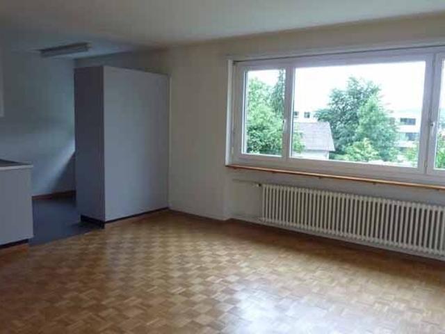 Attraktive Singlewohnung im Grünen in Zürich Höngg | dreamo. Ch