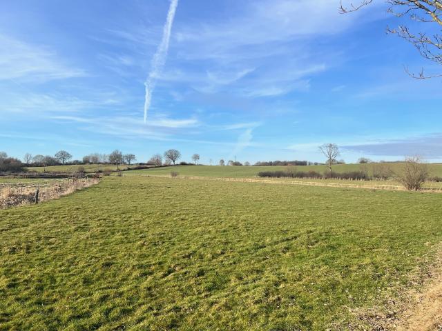 Attraktive und große Baugrundstücke