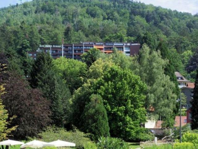 Attraktive Wohnung inklusive Schwimmbadnutzung!