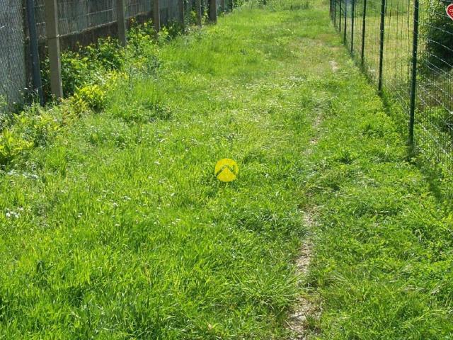 AU BOUT DU CHEMIN LA TRANQUILITE