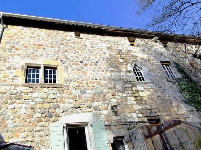 Maison + gite de caractère, terrasse, rénovée, proche baignade